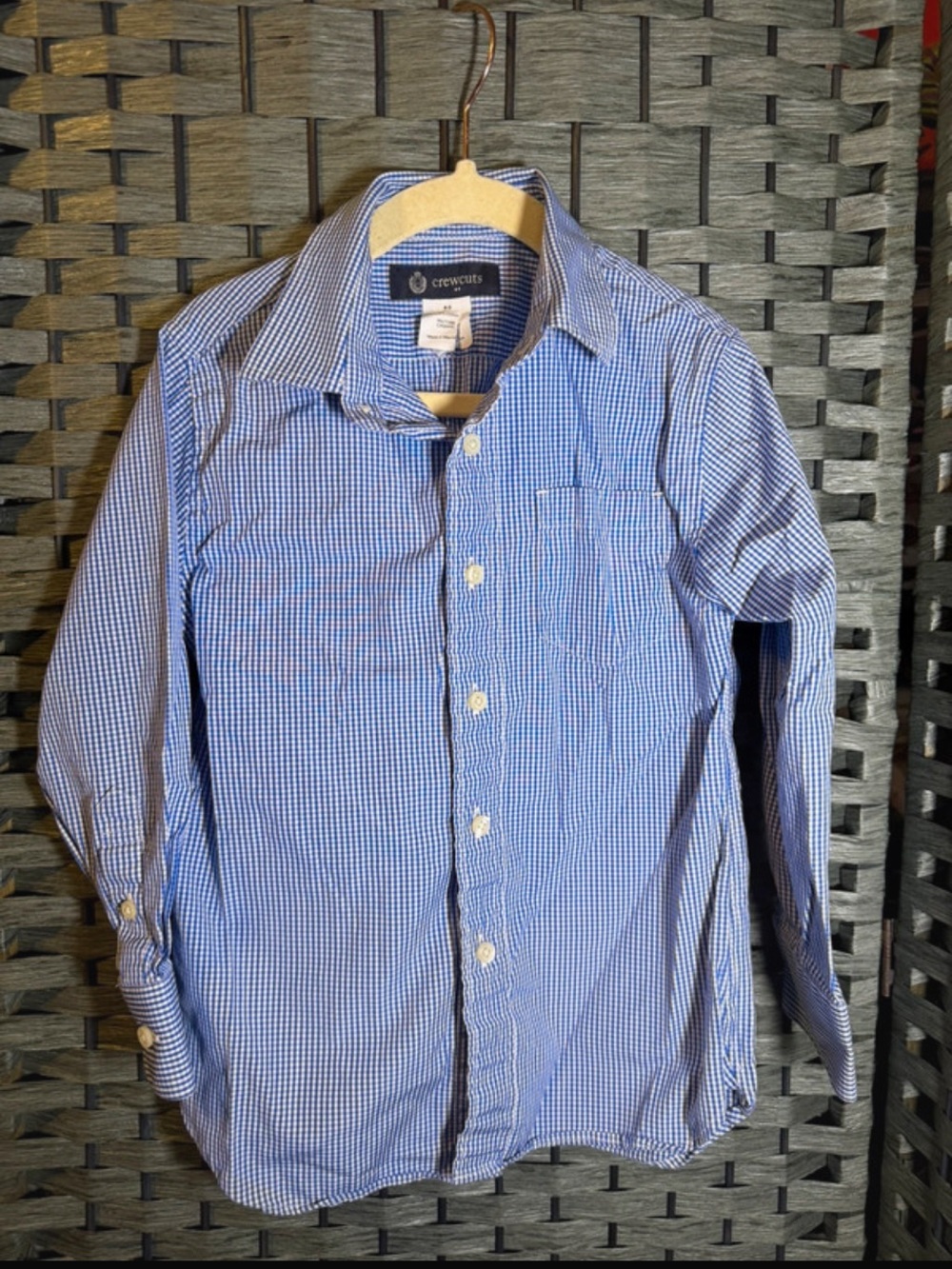 Crewcuts Blue Micro-Gingham Button-Down Shirt